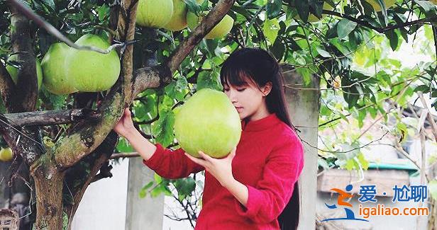 李子柒會(huì)輸嗎？