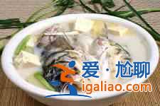 胖頭魚頭的做法大全？