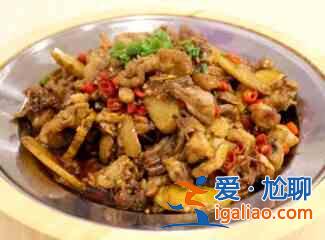 炒雞的做法大全？