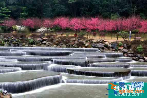 福州這些A級(jí)景區(qū)恢復(fù)開(kāi)放,收好這份春日出行指南? 福州這些A級(jí)景區(qū)恢復(fù)開(kāi)放,收好這份春日出行指南?