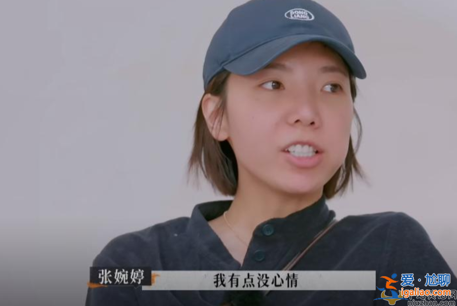 張婉婷和趙麗穎什么關系 宋寧峰老婆張婉婷個人資料曝光