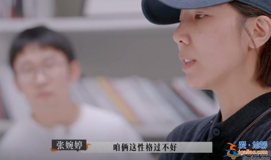 張婉婷和趙麗穎什么關系 宋寧峰老婆張婉婷個人資料曝光