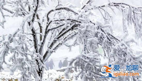 跨年冷空氣來了！西南地區等地多陰雨雪天氣 重慶元旦可賞霧凇？
