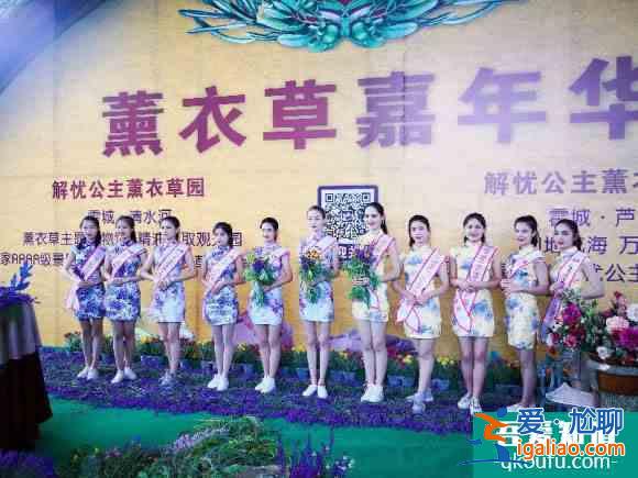 2019城市旅游小姐伊犁旅游推廣大使走進解憂公主薰衣草園？