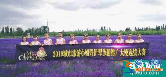2019城市旅游小姐伊犁旅游推廣大使走進解憂公主薰衣草園？