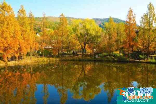 2022北京網(wǎng)紅打卡地推薦？