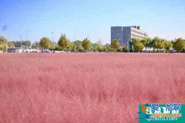 2022北京網(wǎng)紅打卡地推薦？