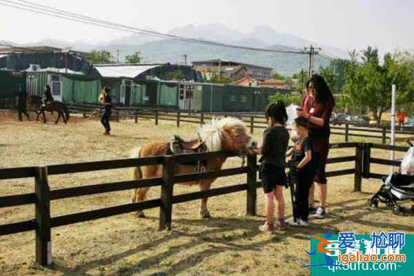 2022北京網(wǎng)紅打卡地推薦？