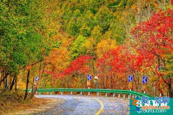 2022北京網(wǎng)紅打卡地推薦？