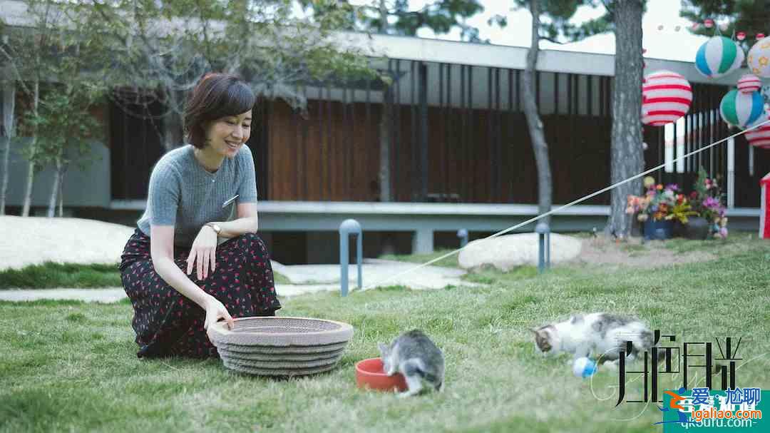 《白色月光》：張一懷疑丈夫出軌滿世界找小三，給了女人一個(gè)警醒？