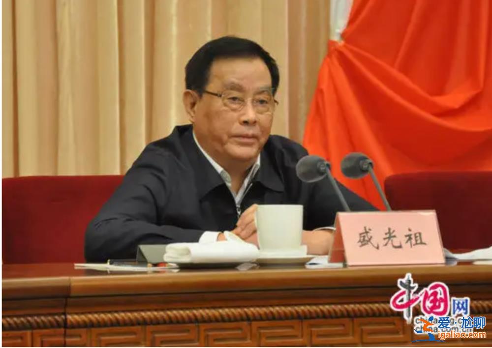 中央紀(jì)委年終總結(jié) 點(diǎn)名傅政華、盛光祖等四“虎”？