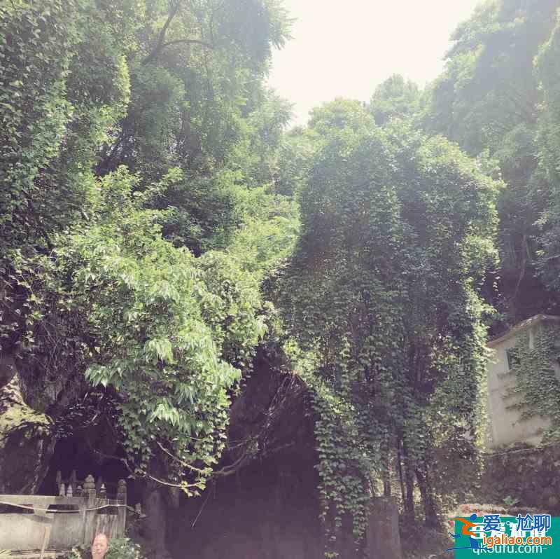 打卡|浙江金華蘭溪 地下長河+諸葛八卦村？