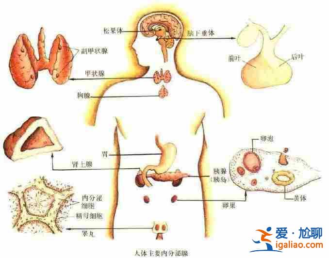 廣州助孕產子(深圳子嗣傳承助孕)？