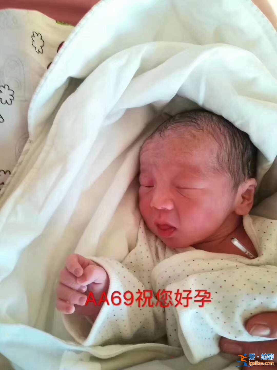 「樂(lè)陶陶」找女人代生孩子多少錢? 「樂(lè)陶陶」找女人代生孩子多少錢?