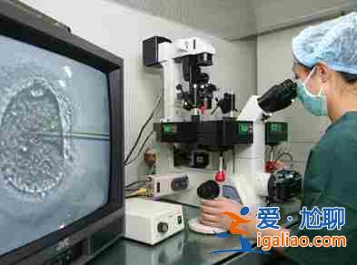 惠州試管包生男孩中介(求子得子)？