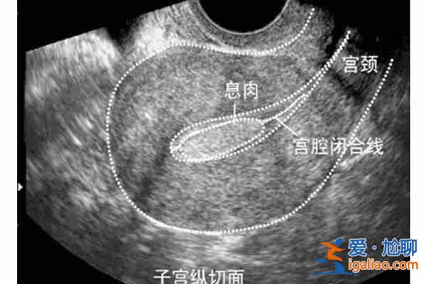 鄭州正規助孕機構_「建造新生命」？