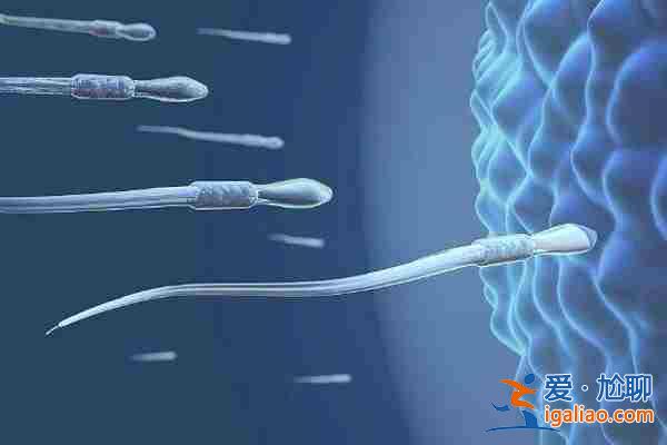 試管代生媽媽公司「你們的兒子，給你們帶來快樂」？