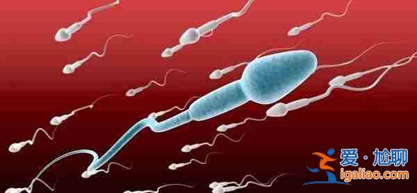 試管代生媽媽公司「你們的兒子，給你們帶來快樂」？