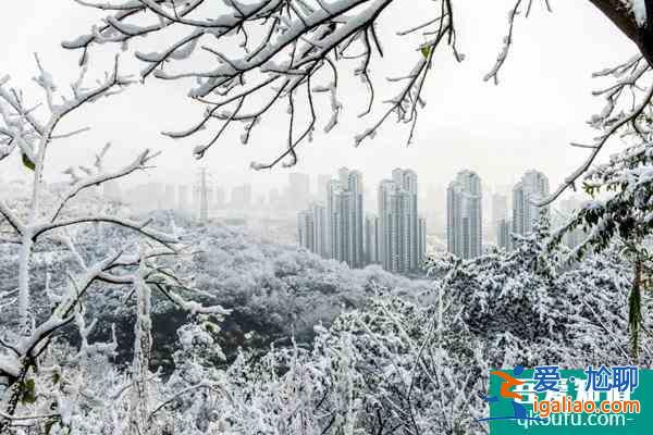 重慶冬季看雪哪里好 重慶冬季看雪的景點及攻略？