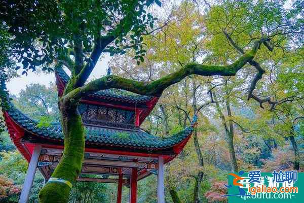 岳麓山內(nèi)的交通需要準(zhǔn)備多少錢？