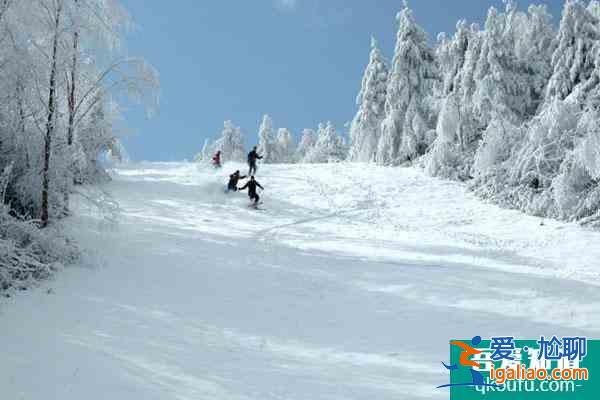 湖北滑雪場哪個最好玩 湖北滑雪場開放時間？