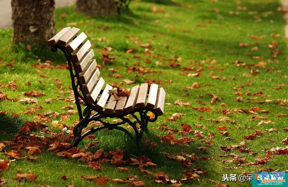 《以家人之名》劇情發(fā)展之大結(jié)局槍?xiě)?zhàn)？