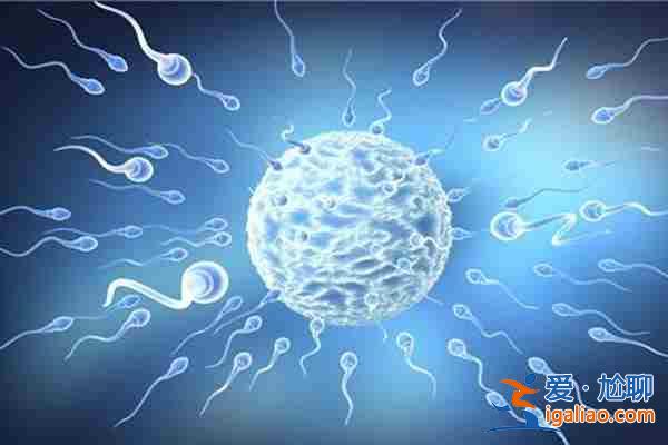 今日〖北京代生代懷男寶寶〗成功懷孕呂進峰生子助孕公司？