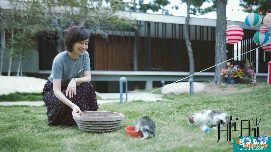 首創婚姻懸疑片!《白色月光》看宋佳大女主如何手撕渣男小三?? 首創婚姻懸疑片!《白色月光》看宋佳大女主如何手撕渣男小三??