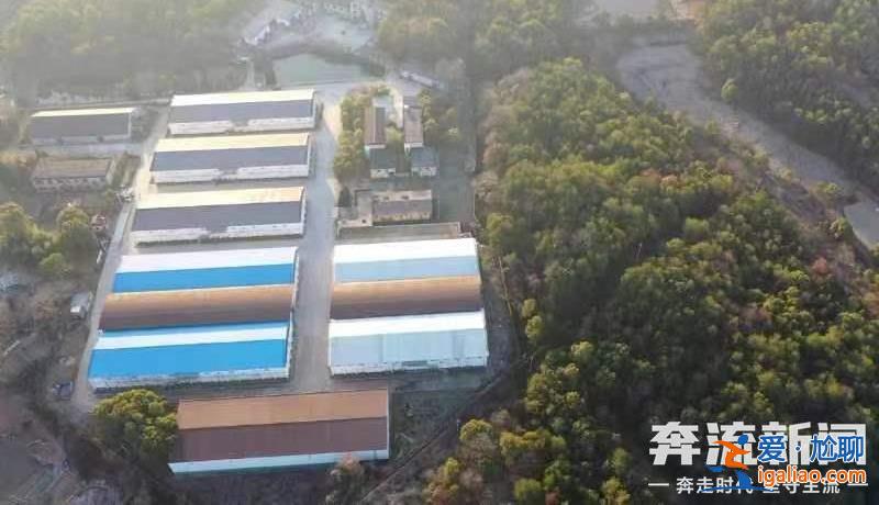 胡鑫宇遺體發現地距森林公安局150米 “搜尋時一直擴大范圍 沒想到人就在跟前”？