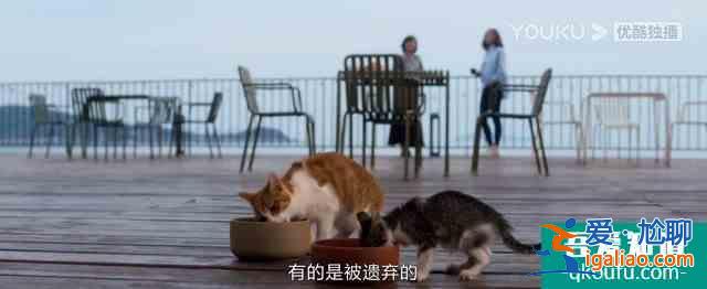 《白色月光》：張鑫出軌了嗎？小三究竟是誰？真相已在細(xì)節(jié)中？