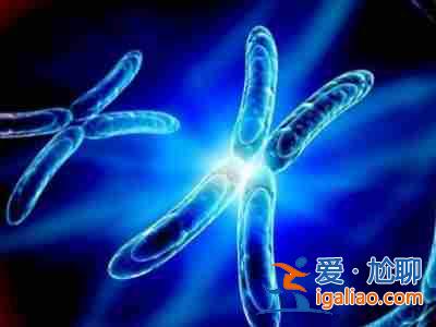 網易熱搜「借肚子懷孕多少錢」吃鹿胎膏助孕是真的嗎？