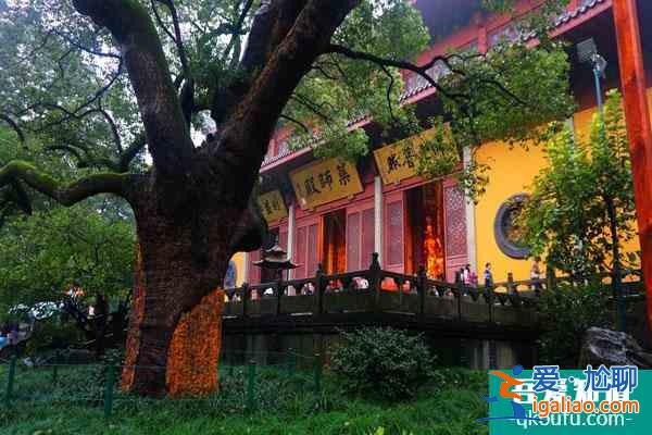 2021受疫情影響杭州靈隱寺暫停開放？