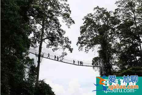 冬季西雙版納旅游攻略? 冬季西雙版納旅游攻略?