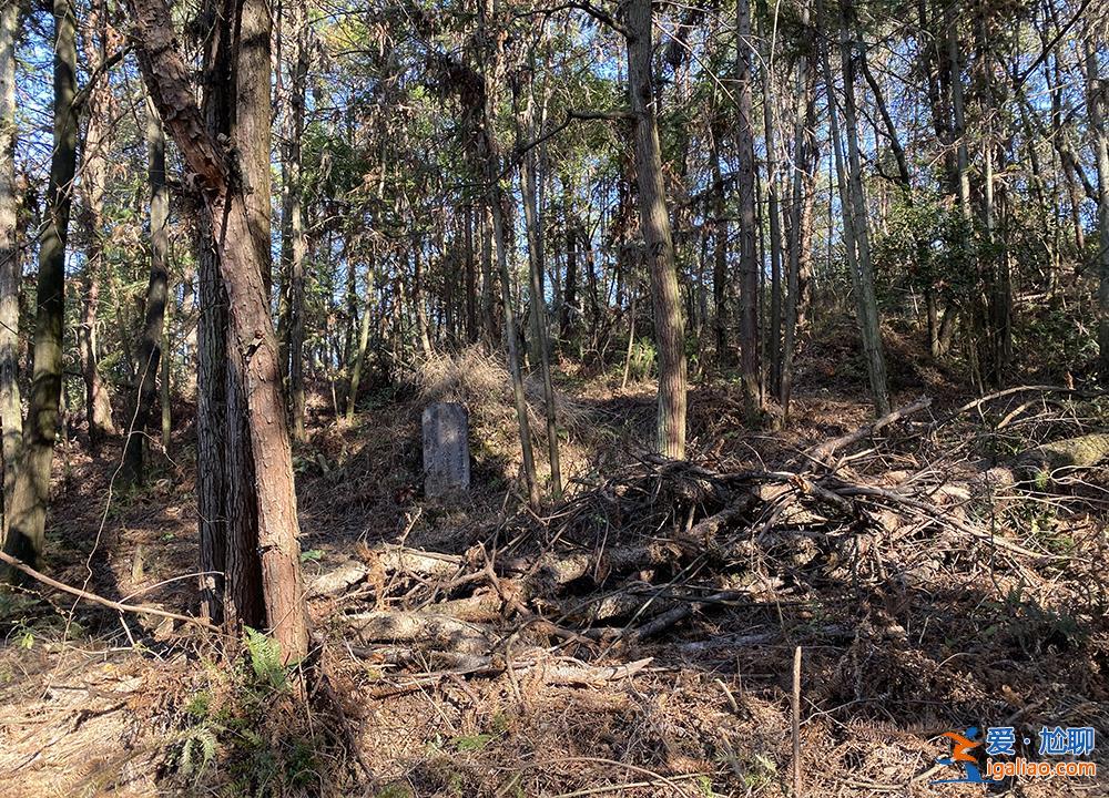 胡鑫宇消失的106天和找到遺體的48小時? 胡鑫宇消失的106天和找到遺體的48小時?