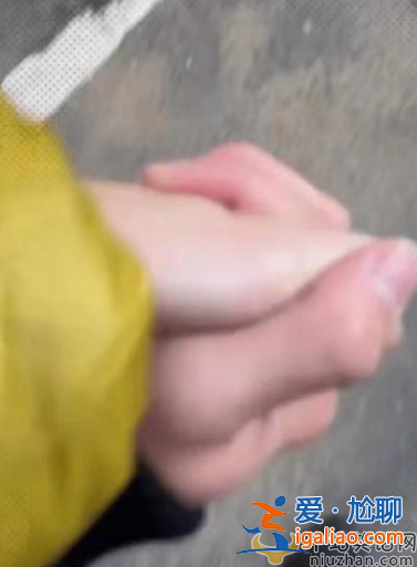 張柏芝男友罕見現身!兩人牽手公開秀恩愛 男方酷似前夫謝霆鋒