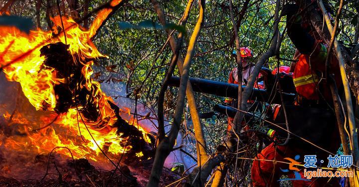 過火面積超240畝 仍在緊張撲救中? 過火面積超240畝 仍在緊張撲救中?