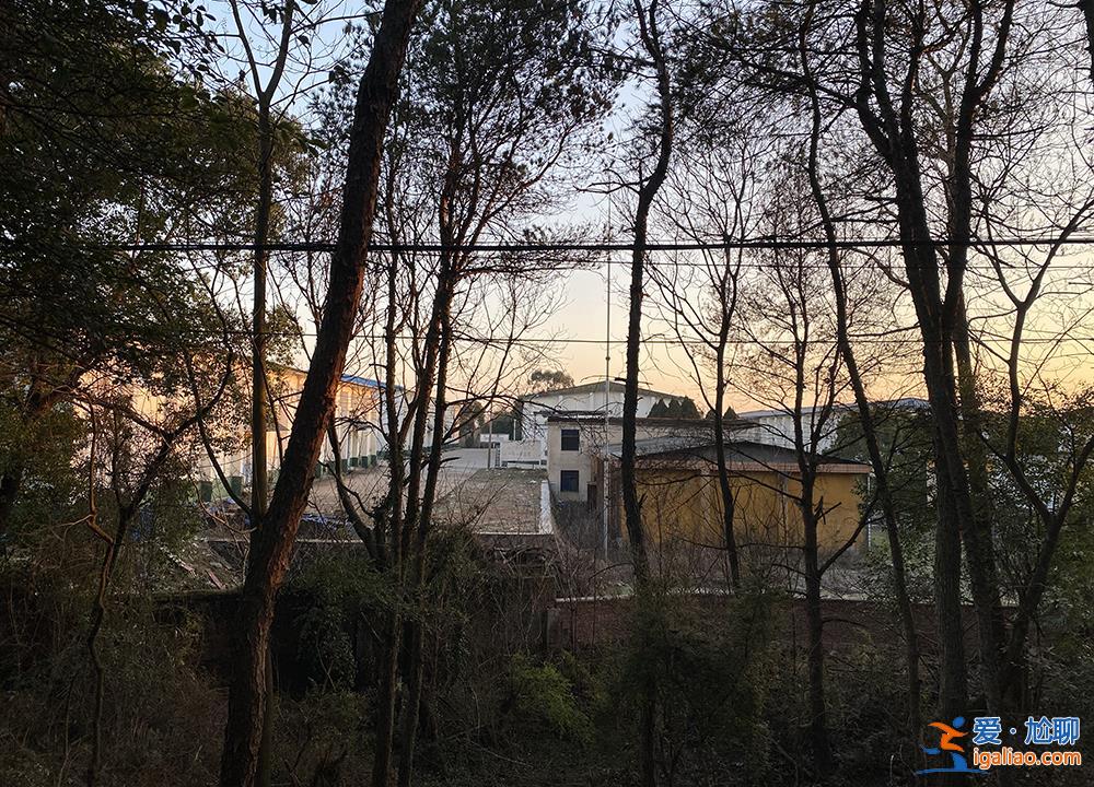 胡鑫宇消失的106天和找到遺體的48小時? 胡鑫宇消失的106天和找到遺體的48小時?