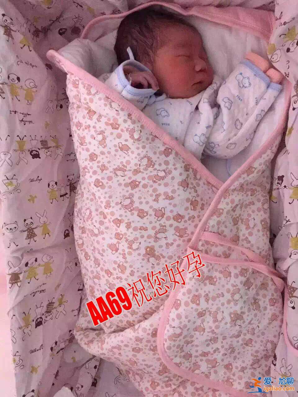 點(diǎn)擊查詢:濟(jì)南包生男孩多少錢?多個(gè)惠及家庭的好消息? 點(diǎn)擊查詢:濟(jì)南包生男孩多少錢?多個(gè)惠及家庭的好消息?