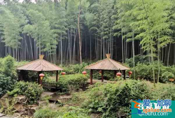 2021受疫情影響宜興竹海暫時閉園？