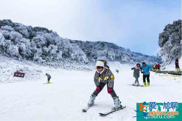 2021重慶金佛山冰雪節(jié)門票價格？