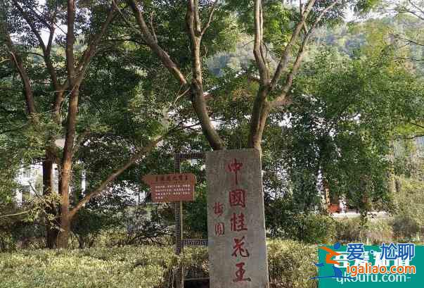 2021紹興受疫情影響大香林兜率天景區(qū)臨時(shí)閉園？