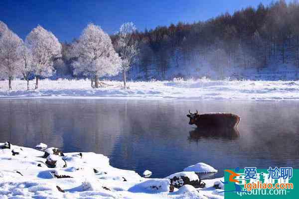 阿爾山冬季旅游攻略 最低溫度是多少？