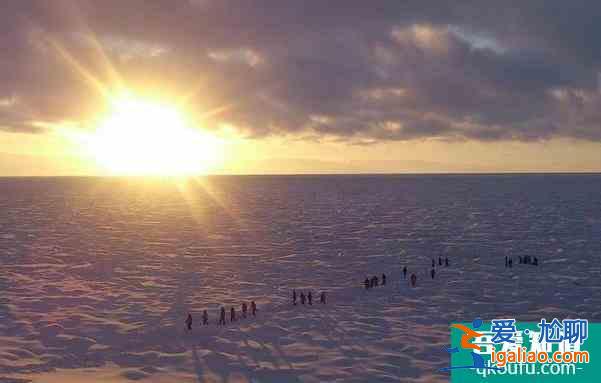 2021日本冬季旅游攻略 冬季日本旅游推薦? 2021日本冬季旅游攻略 冬季日本旅游推薦?