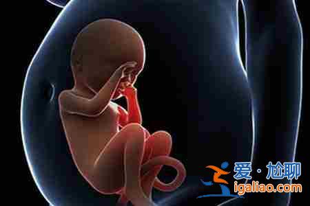 廣而告之> 代人生子多少錢_新聞30分？