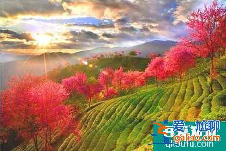 冬季云南旅游景點大全？