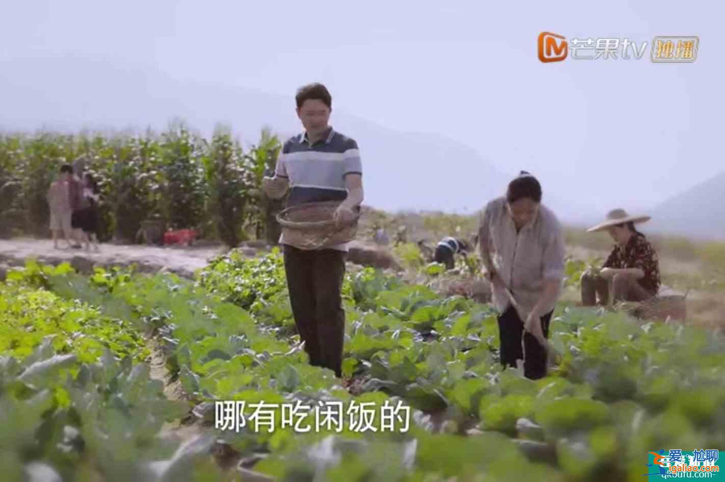 《以家人之名》子秋外婆說嫁得不好認命，怪不得賀梅拋棄子秋？