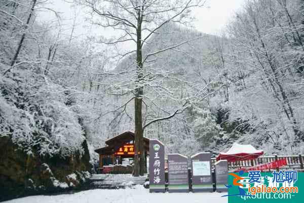 欒川冬季旅游哪兒好玩 適合冬天玩的欒川景點？