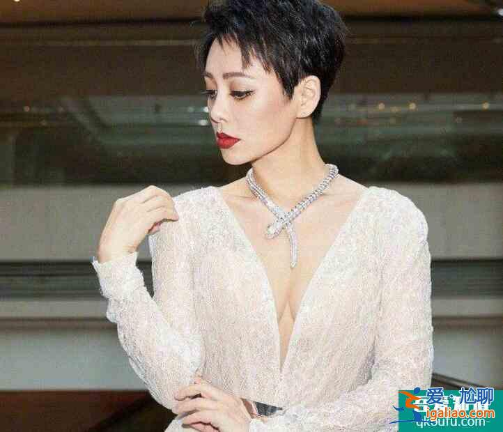 寧靜談《乘風(fēng)破浪的姐姐》 選手多才多藝令其頗感壓力? 寧靜談《乘風(fēng)破浪的姐姐》 選手多才多藝令其頗感壓力?