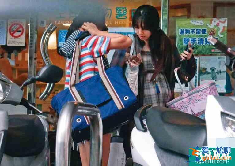 臺媒曝郭碧婷懷孕 穿寬松連體衣孕肚明顯素顏狀態好？