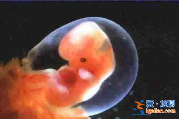 央視新聞> 寧波試管代生_今天給大家具體分析下? 央視新聞> 寧波試管代生_今天給大家具體分析下?